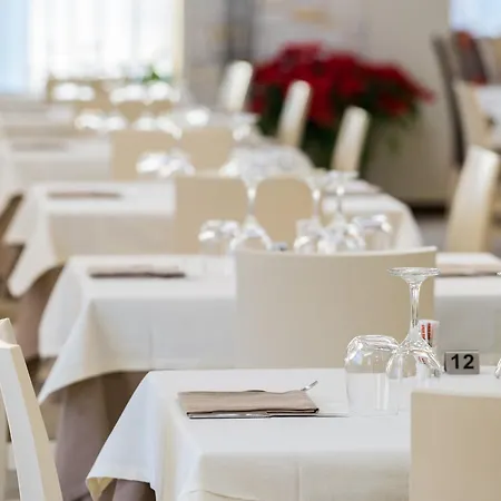 Hotel Rizzi Castel San Giovanni (Piacenza)